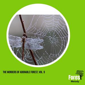 Classic Beats of Rattle Snake