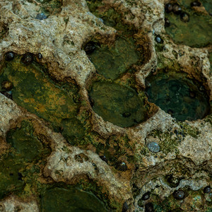 当我独自面对着你