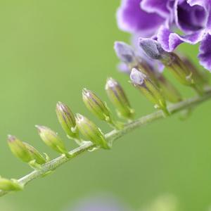 嗯嗯动感舞 (DJRemix)