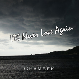 I'll Never Love Again（翻自 Lady Gaga）