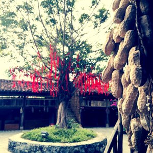 《再给爱一次机会》