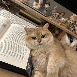 PASSO BEM SOLTO (slowed)