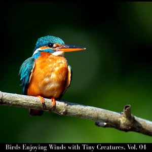 Beauty in the Rainfall