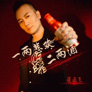 一两悲欢二两酒 (伴奏)