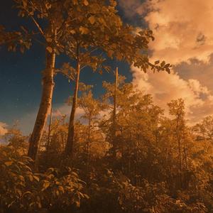 把回忆拼好给你（新版）