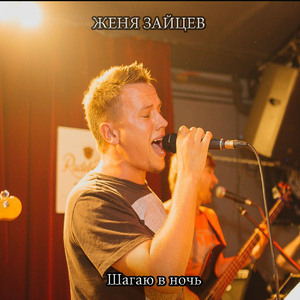 Шагаю в ночь