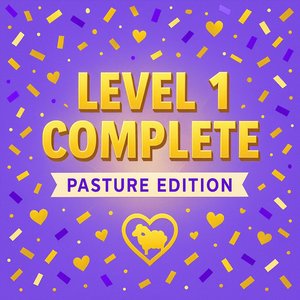 Holy Sheep, We Made It!