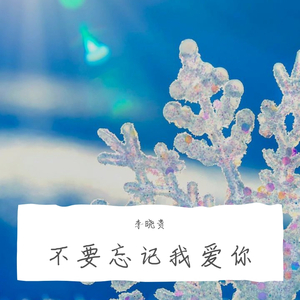 张碧晨-不要记我爱你忘（李晓贵 remix）