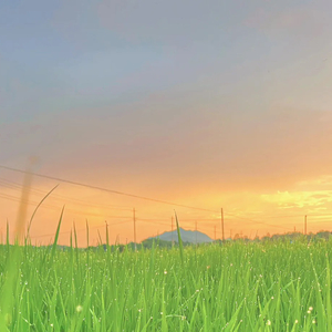 燃烧信号带人声（Remix）