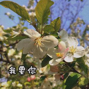 我要你