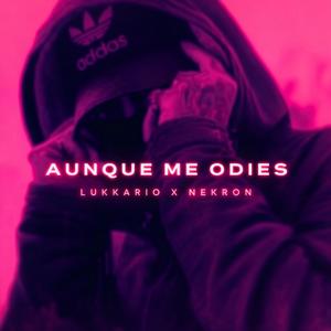 AUNQUE ME ODIES (feat. Nekron)