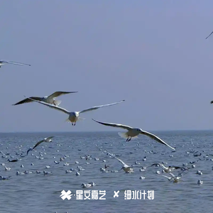 爱意早就过期