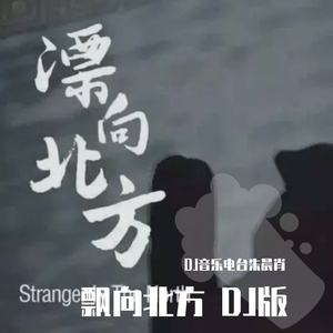 飘向北方DJ版