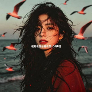 夜那么黑心那么累