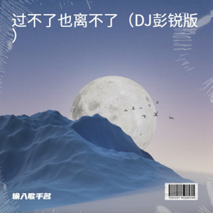 过不了也离不了 (DJ彭锐版)