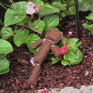 oh, how beautiful the world