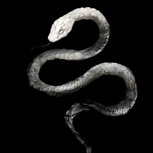 时间冲淡记忆波澜