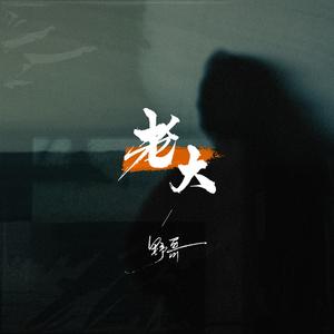 老大 (DJ烟嗓版)