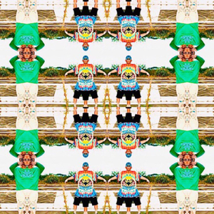 IRIOMOTE (feat. Lil Cotetsu)