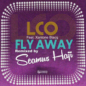 Fly Away (Seamus Haji Edit) [feat. Xantone Blacq]