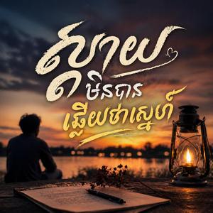 ស្ដាយមិនបានឆ្លើយថាស្នេហ៍