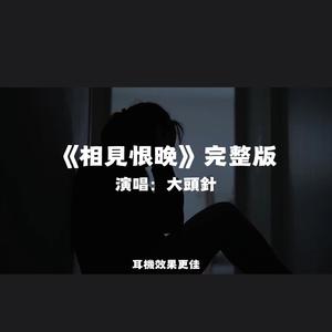 相見恨晚/大頭針