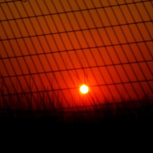 Drift  Phonk Rhythm