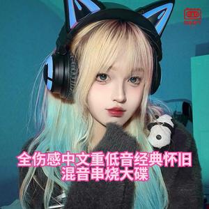 DJ国飞-全伤感中文重低音经典怀旧混音串烧大碟（DJ国飞 remix）