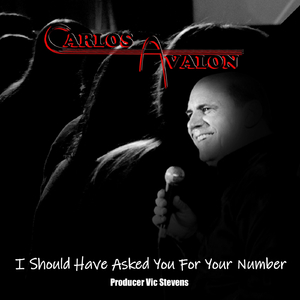 I Should Have Asked You For Your Number