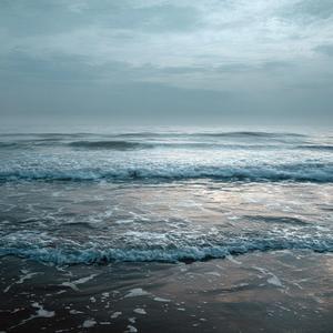 눈물은 바다로 간다