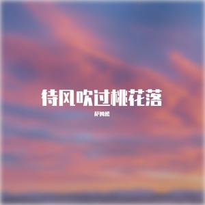 世间人我浊凡尘