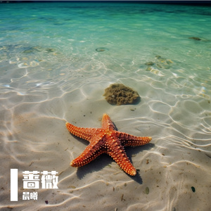 落日余晖映照归途漫漫