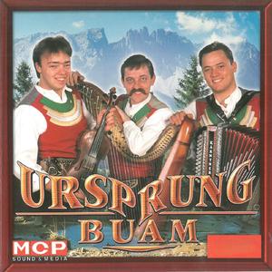 Der Teufelsgeigerbua