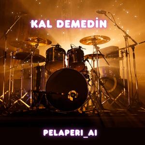 Kal Demedin