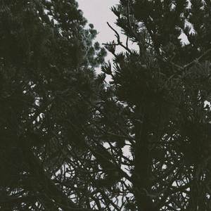 Why’d you make it hurt