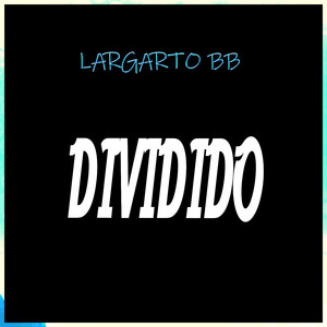 DIVIDIDO