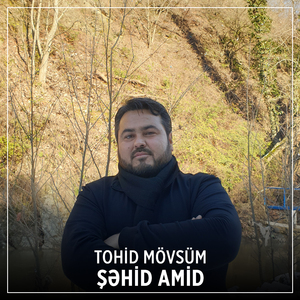 Şəhid Amid