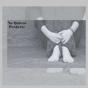 No Quiero Perderte
