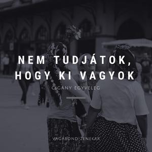 Nem tudjátok, hogy ki vagyok (Vagabond)
