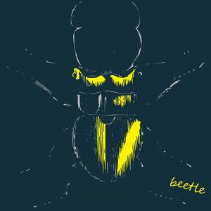 Beetle