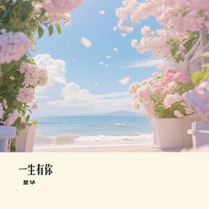 白狐 (星华 Remix)