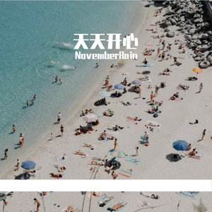 树荫光斑下的静谧之境