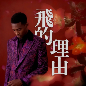 飞的理由 (R&B Re-Imagined)