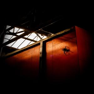 Intellectual superiority