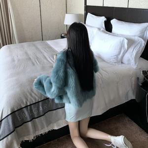 爱情是无法理解的现象（抖音热播版）