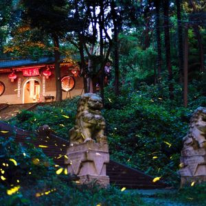 盛夏萤火(Midsummer Fireflies)