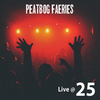 Peatbog Faeries - Tom in the Front (Live)
