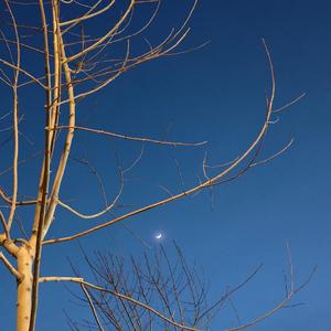 我们不是苏格拉低 伴奏