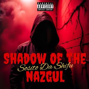 Shadow Of The Nazgul