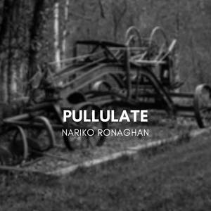 Pullulate